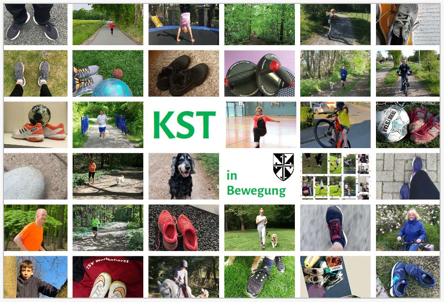 Heute zeigt sich das "KST in Bewegung"